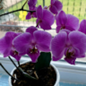 Meet your Posher, Kathaline